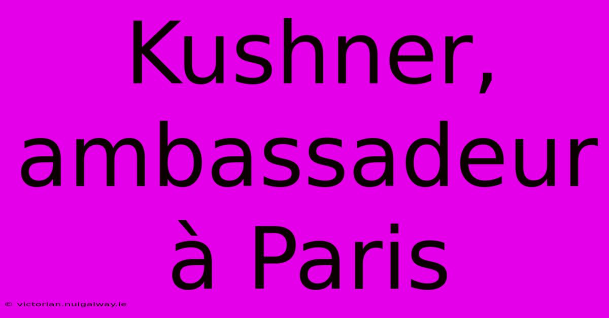 Kushner, Ambassadeur À Paris