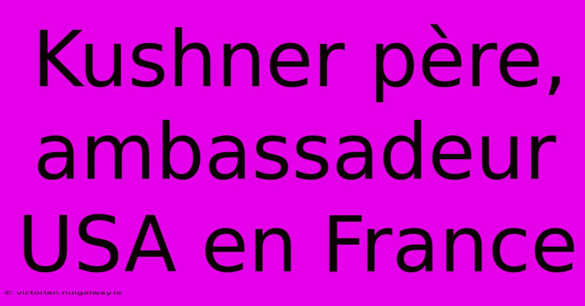 Kushner Père, Ambassadeur USA En France