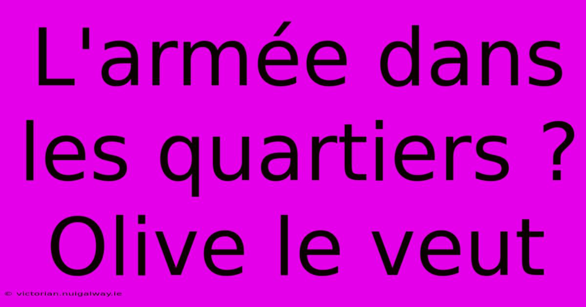 L'armée Dans Les Quartiers ? Olive Le Veut