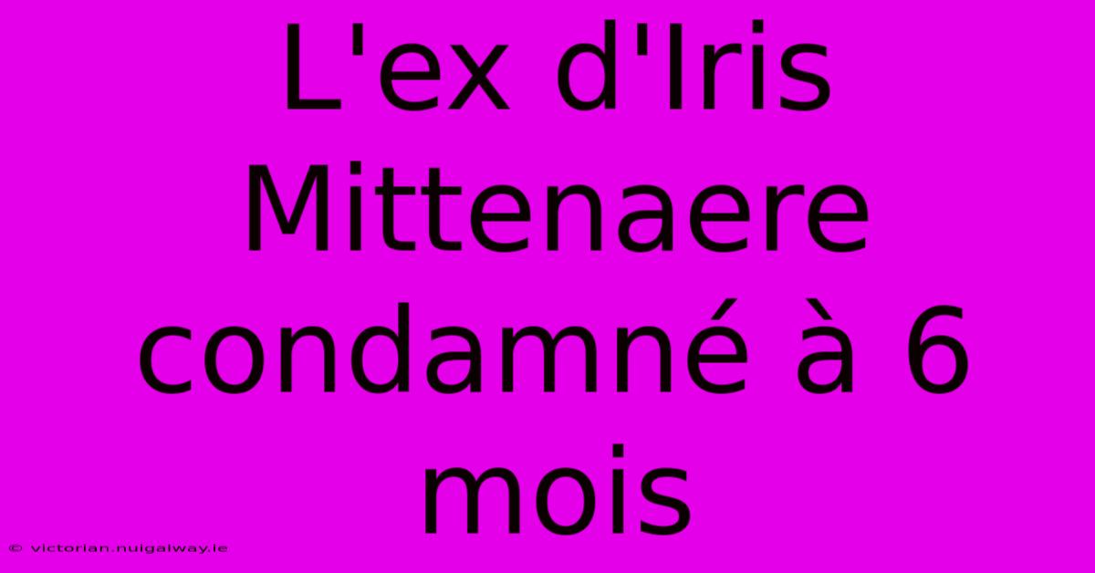 L'ex D'Iris Mittenaere Condamné À 6 Mois 