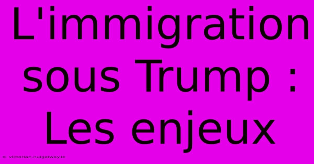 L'immigration Sous Trump : Les Enjeux 