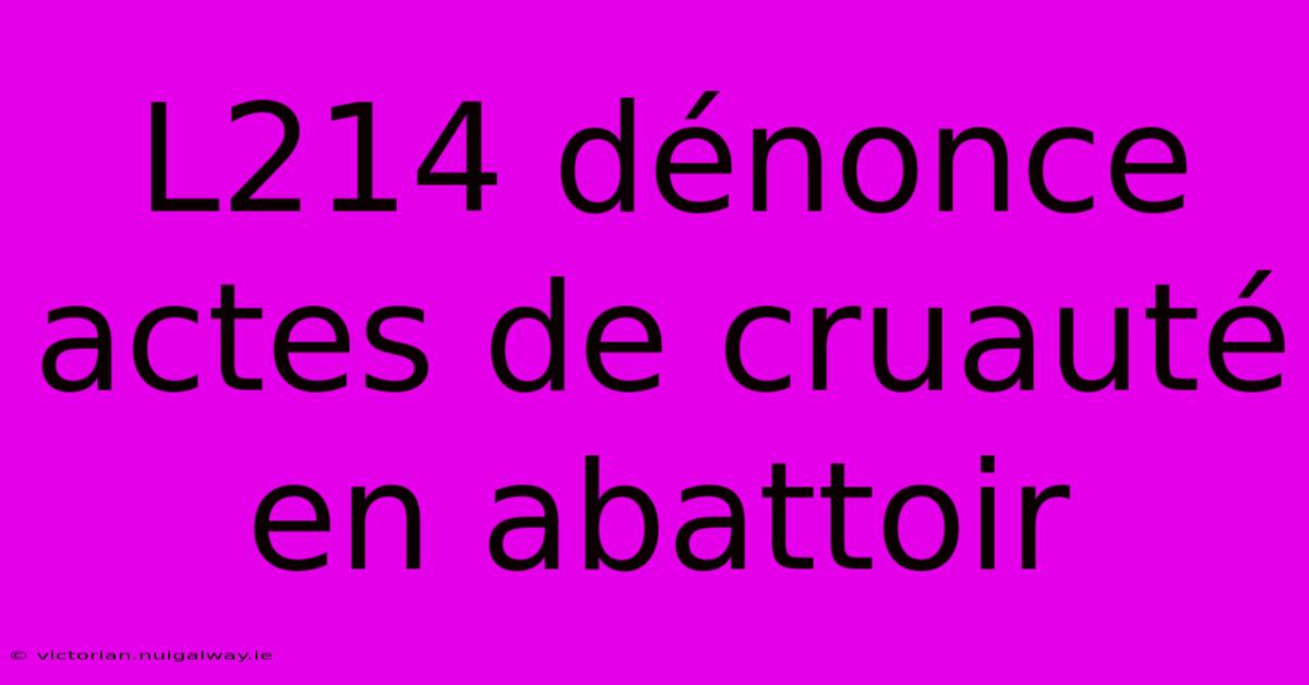 L214 Dénonce Actes De Cruauté En Abattoir