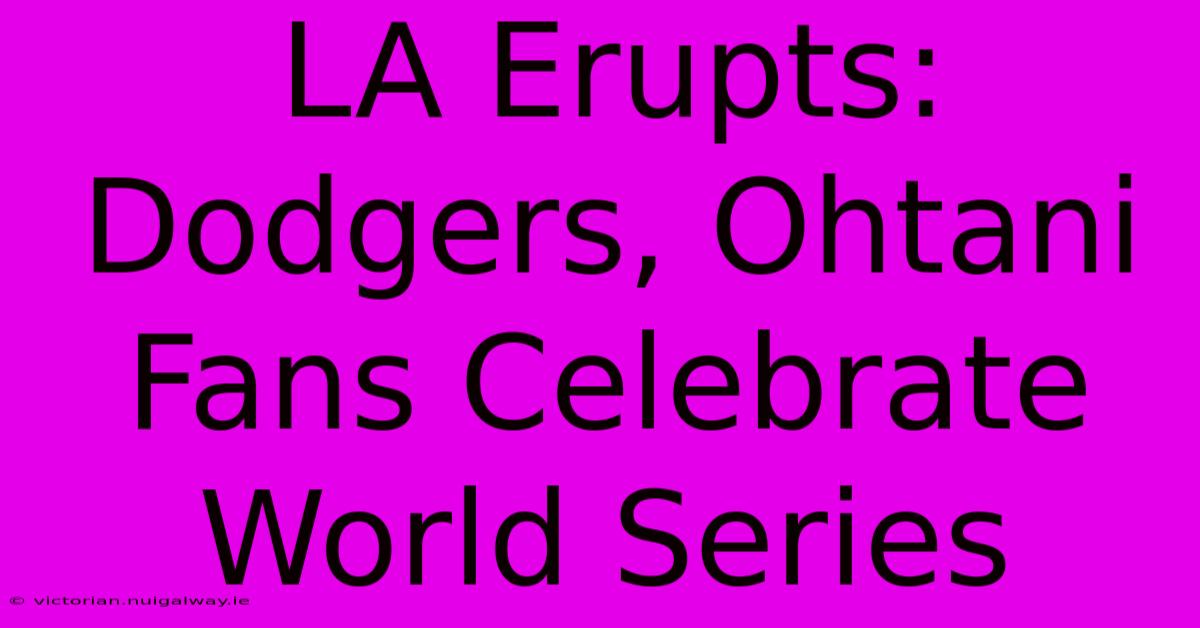 LA Erupts: Dodgers, Ohtani Fans Celebrate World Series