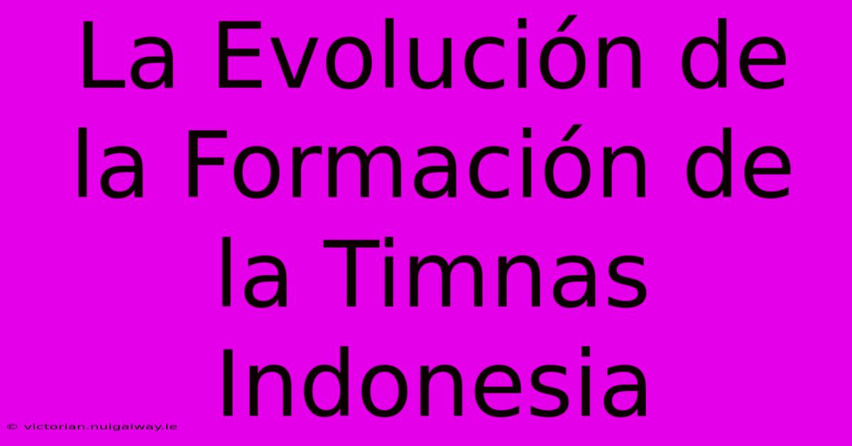 La Evolución De La Formación De La Timnas Indonesia 