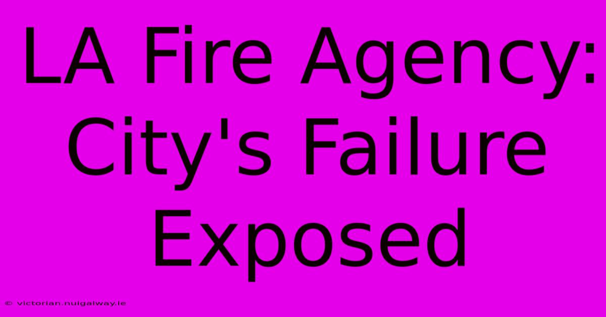 LA Fire Agency: City's Failure Exposed