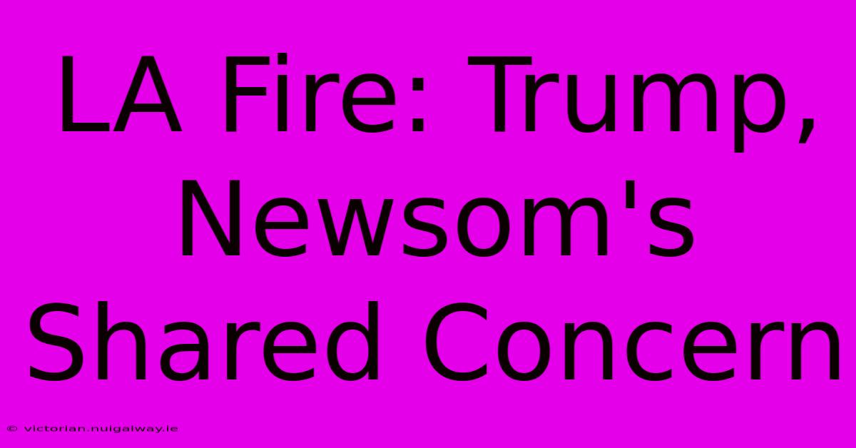 LA Fire: Trump, Newsom's Shared Concern