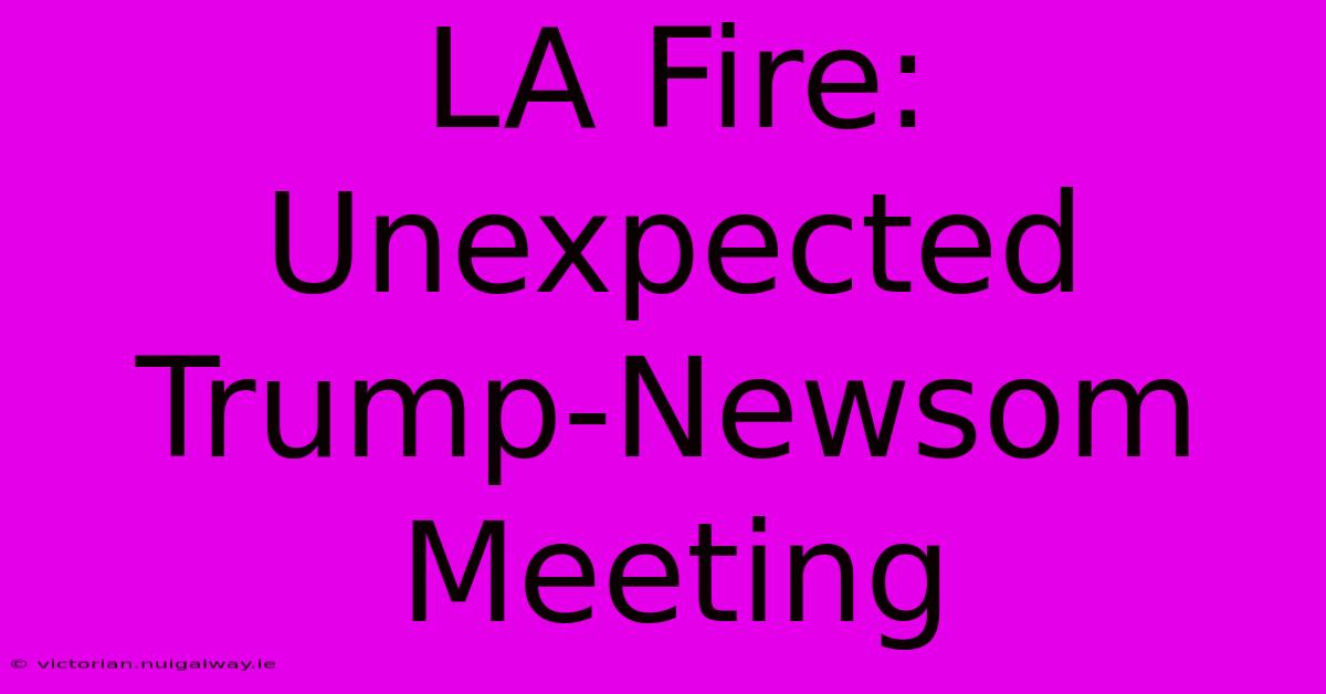 LA Fire: Unexpected Trump-Newsom Meeting