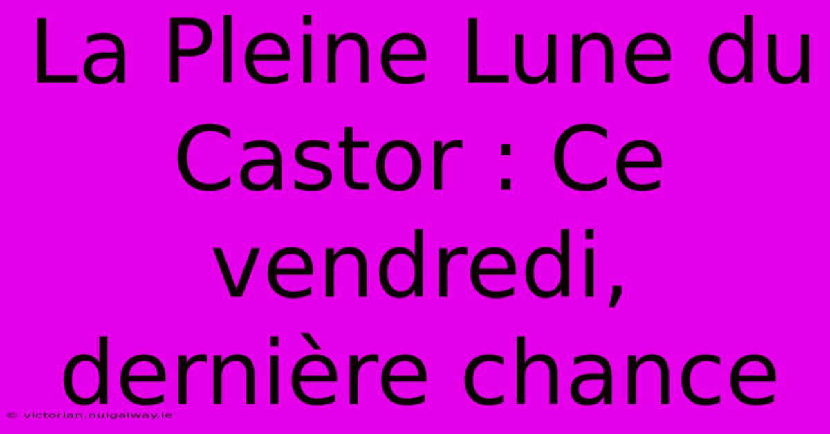 La Pleine Lune Du Castor : Ce Vendredi, Dernière Chance