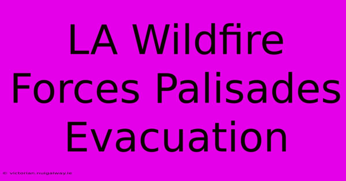 LA Wildfire Forces Palisades Evacuation