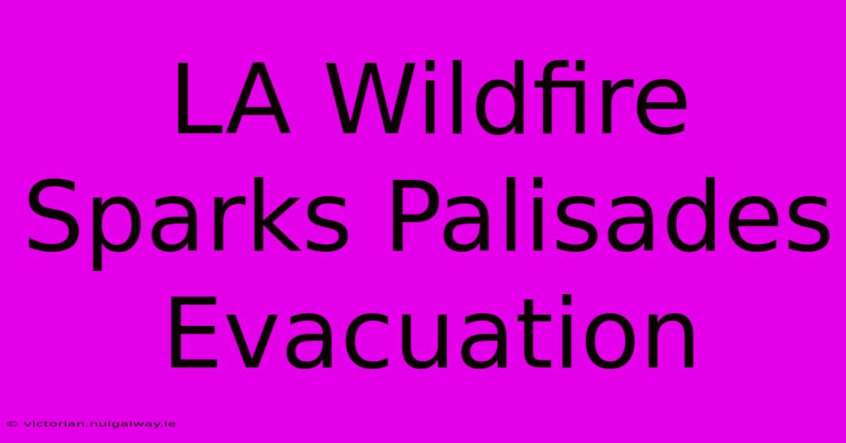 LA Wildfire Sparks Palisades Evacuation