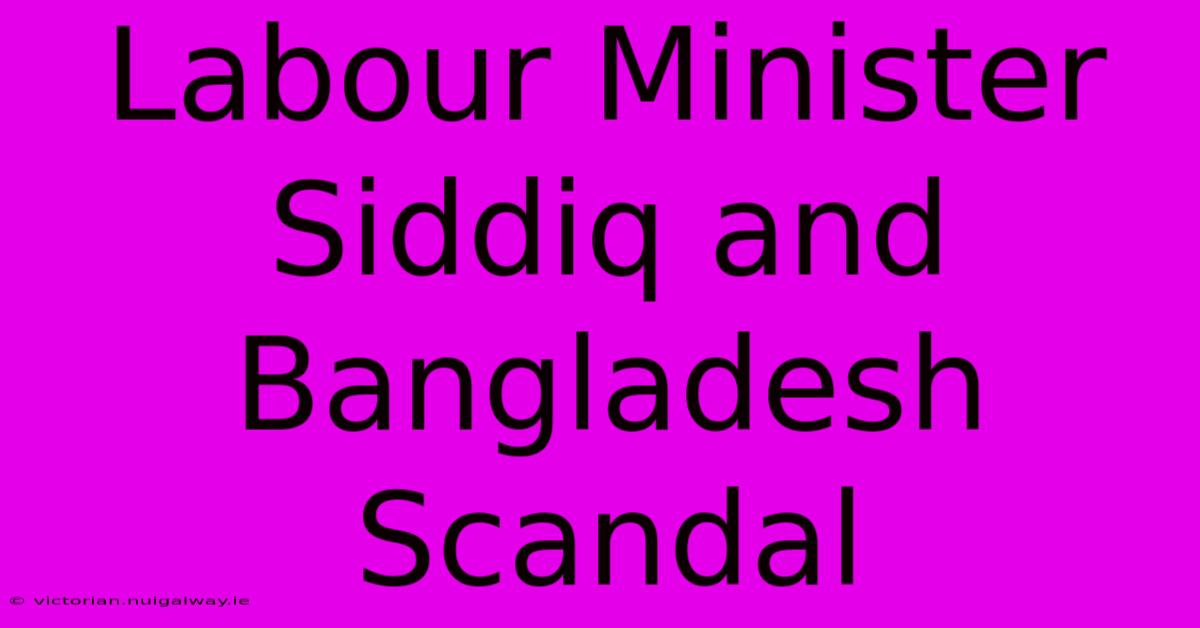 Labour Minister Siddiq And Bangladesh Scandal