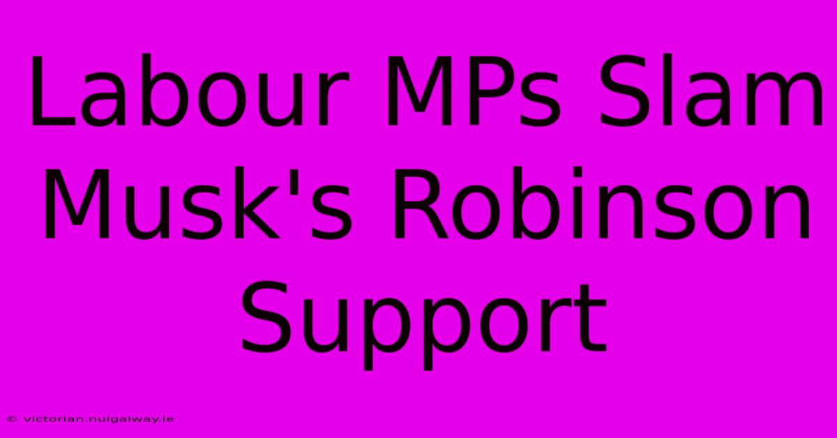 Labour MPs Slam Musk's Robinson Support