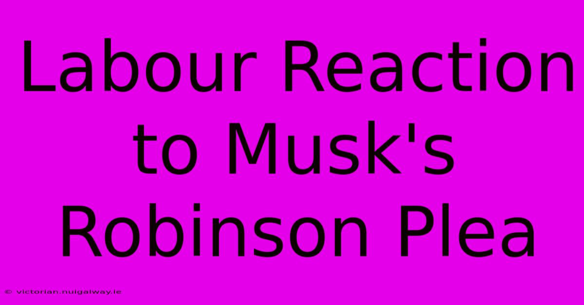 Labour Reaction To Musk's Robinson Plea