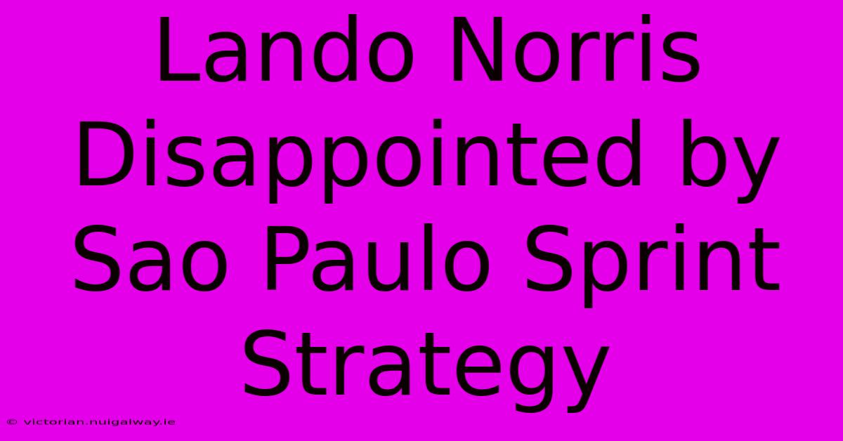 Lando Norris Disappointed By Sao Paulo Sprint Strategy