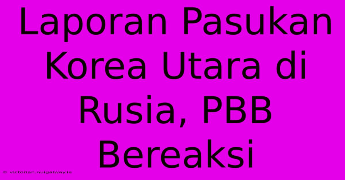 Laporan Pasukan Korea Utara Di Rusia, PBB Bereaksi