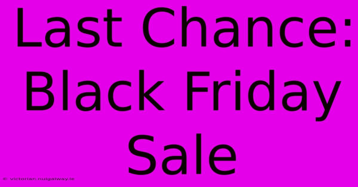 Last Chance: Black Friday Sale