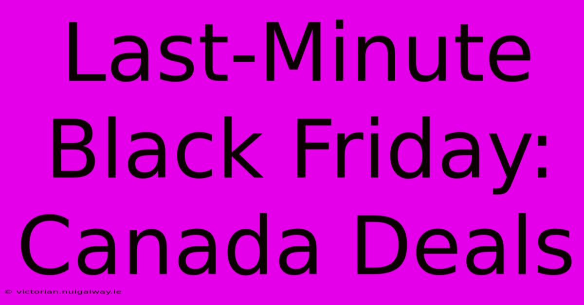 Last-Minute Black Friday: Canada Deals