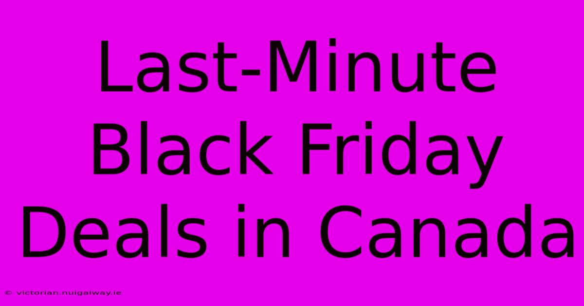 Last-Minute Black Friday Deals In Canada