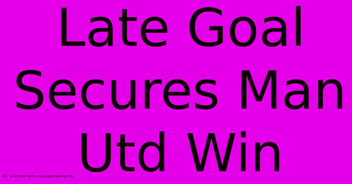 Late Goal Secures Man Utd Win