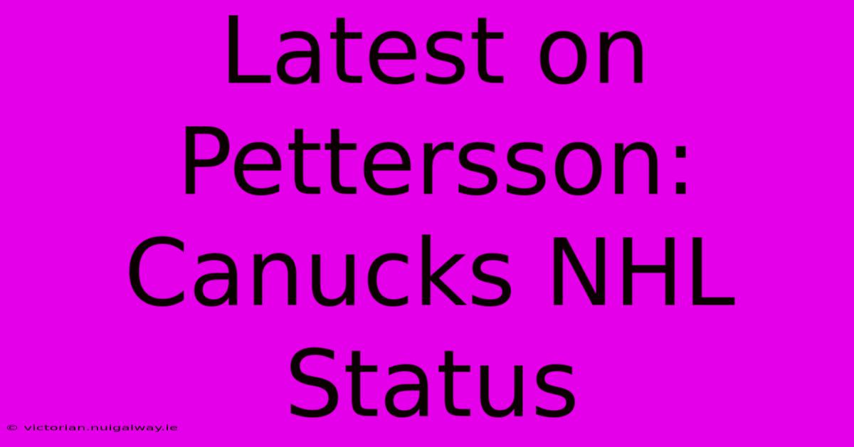 Latest On Pettersson: Canucks NHL Status