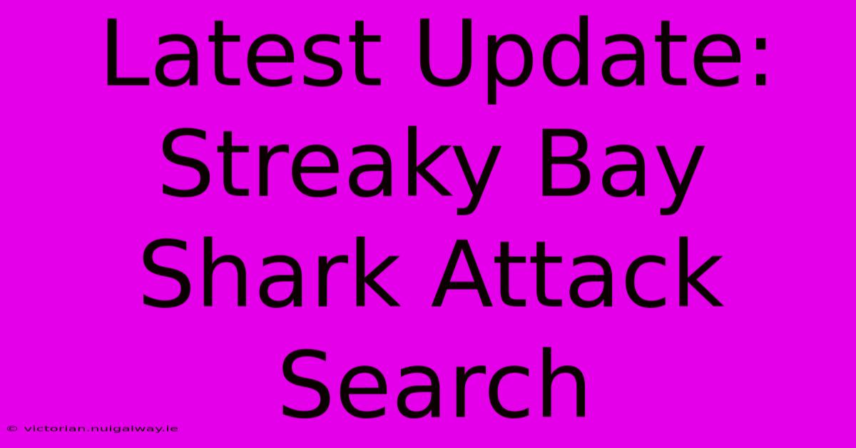 Latest Update: Streaky Bay Shark Attack Search