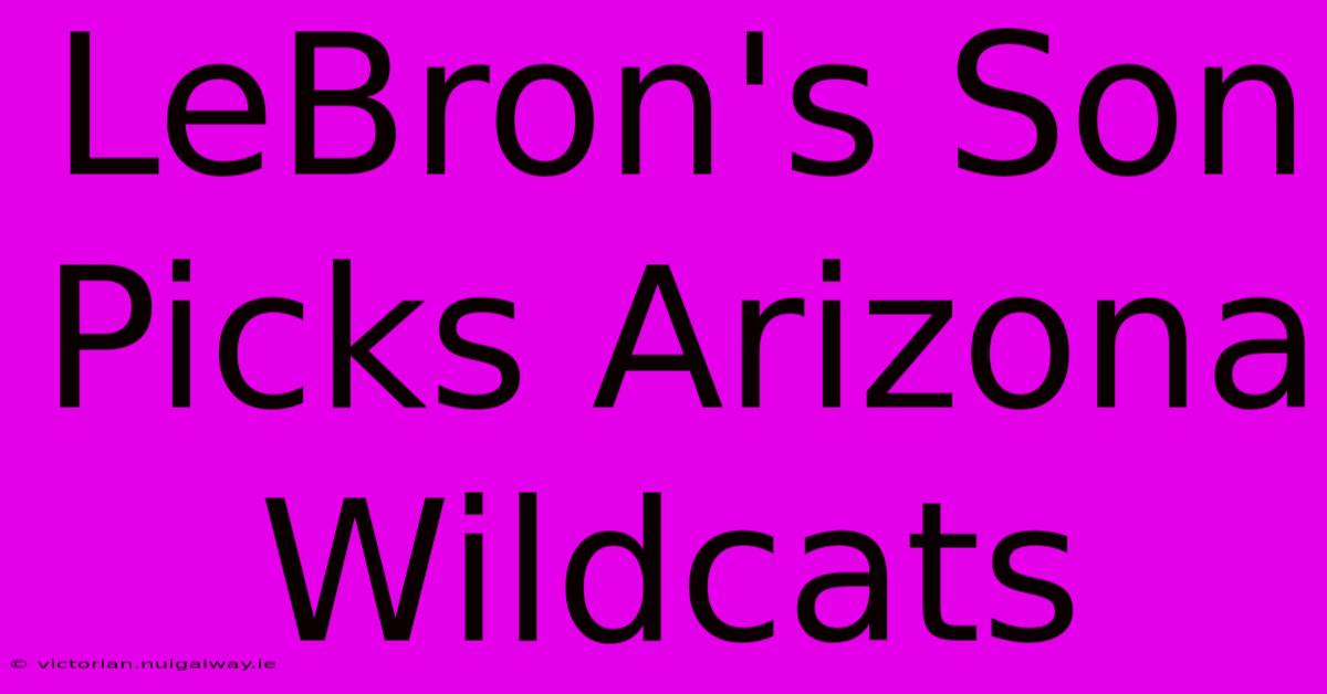 LeBron's Son Picks Arizona Wildcats