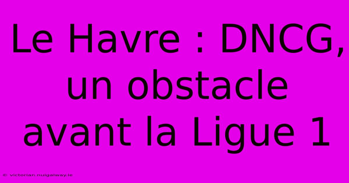 Le Havre : DNCG, Un Obstacle Avant La Ligue 1