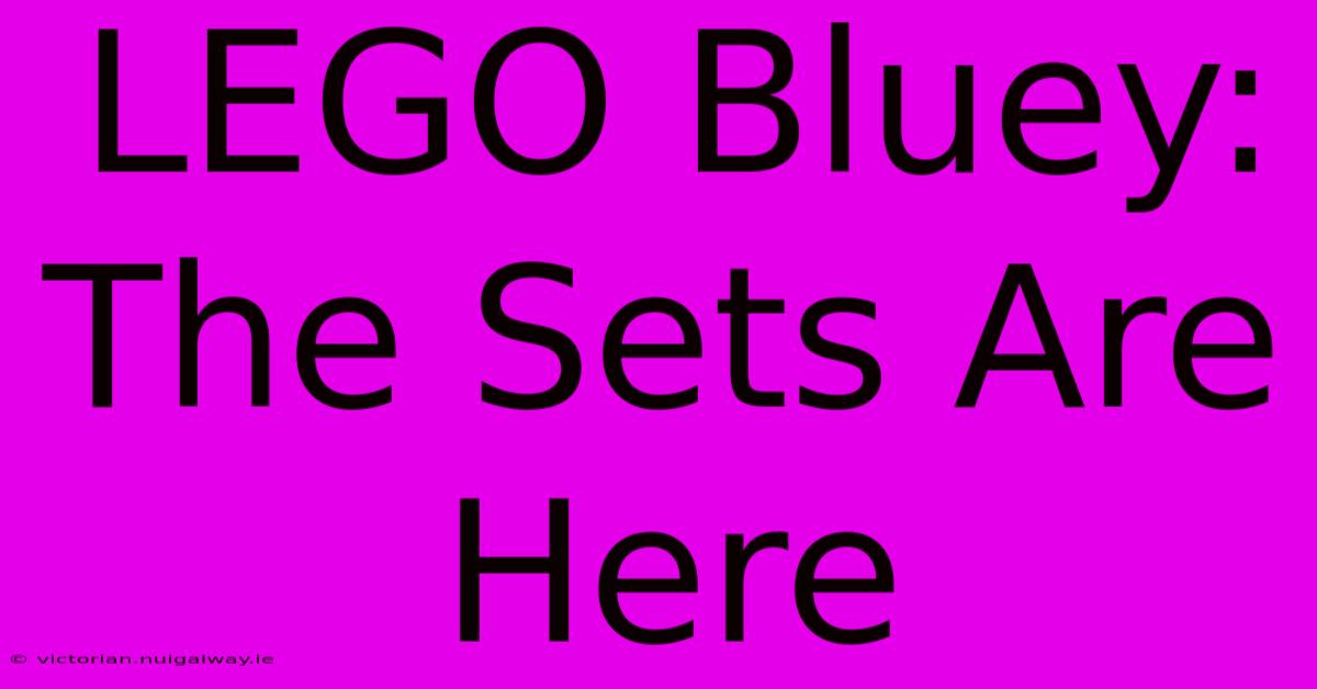 LEGO Bluey: The Sets Are Here