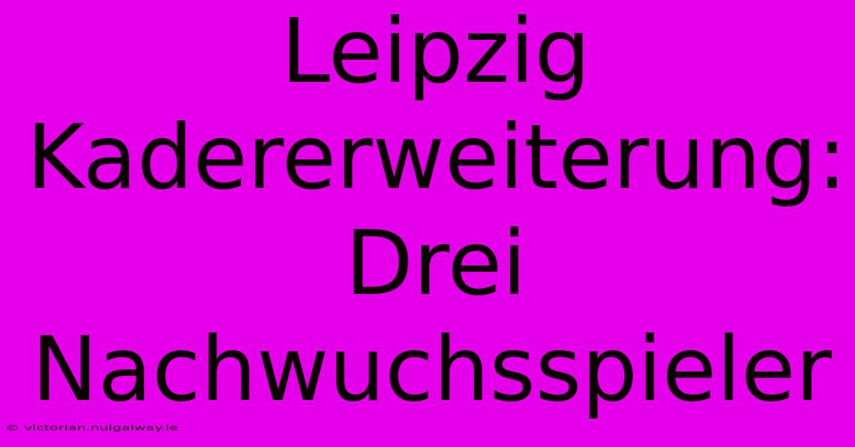 Leipzig Kadererweiterung: Drei Nachwuchsspieler