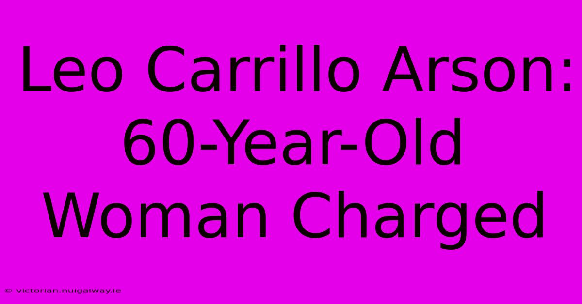 Leo Carrillo Arson: 60-Year-Old Woman Charged