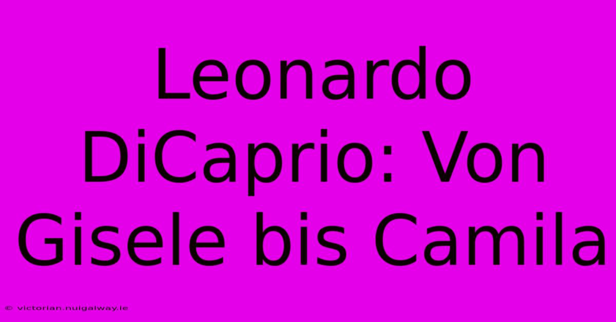 Leonardo DiCaprio: Von Gisele Bis Camila 