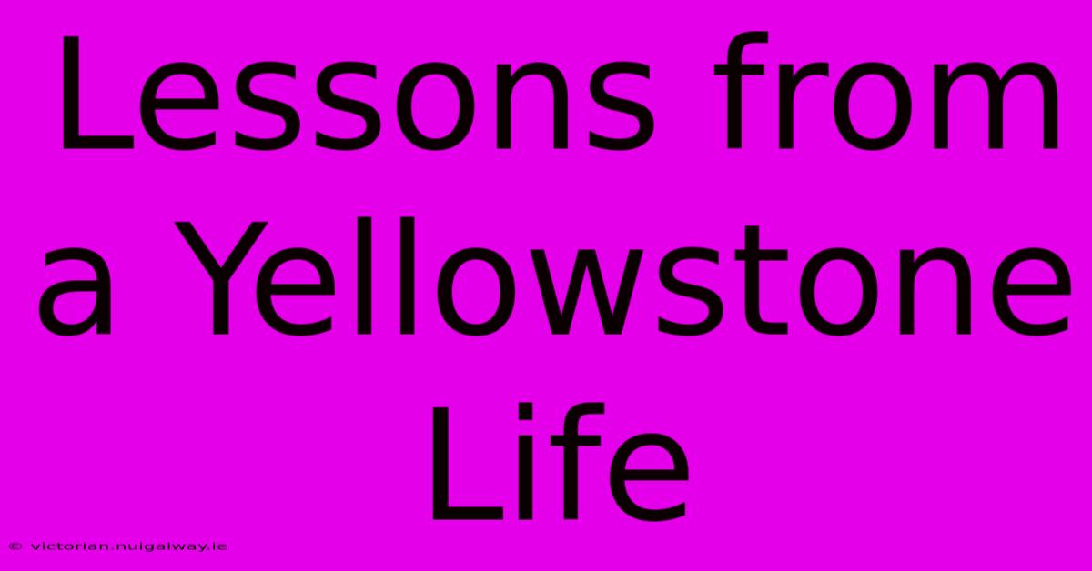 Lessons From A Yellowstone Life 