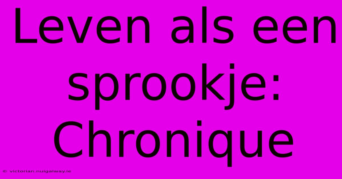 Leven Als Een Sprookje: Chronique