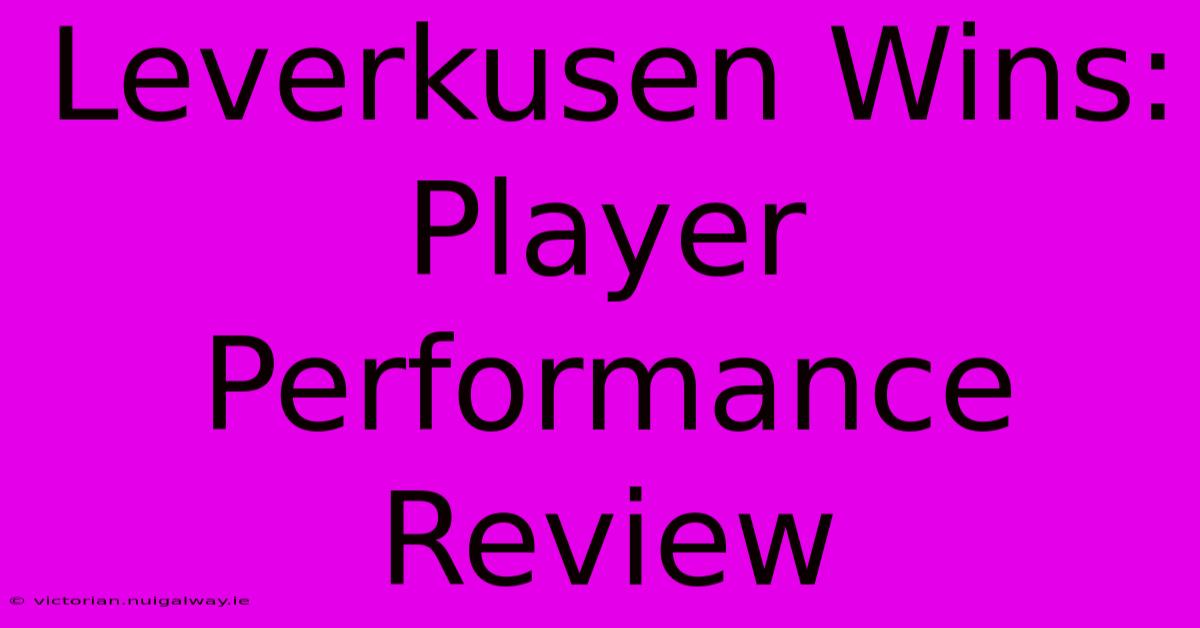 Leverkusen Wins: Player Performance Review