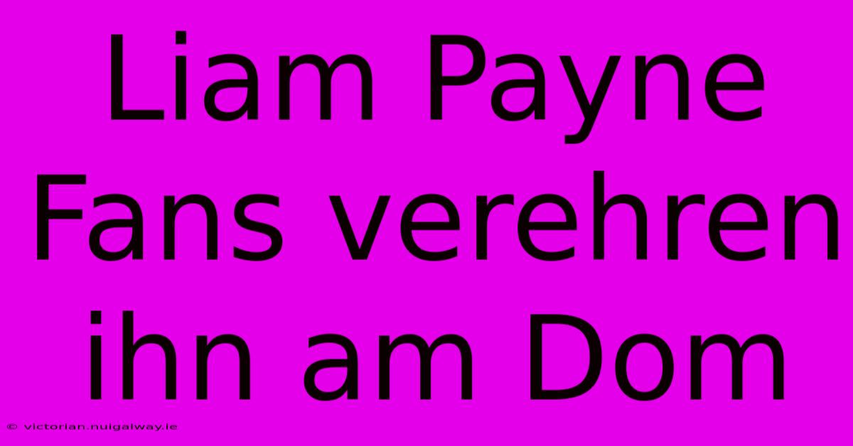 Liam Payne Fans Verehren Ihn Am Dom 