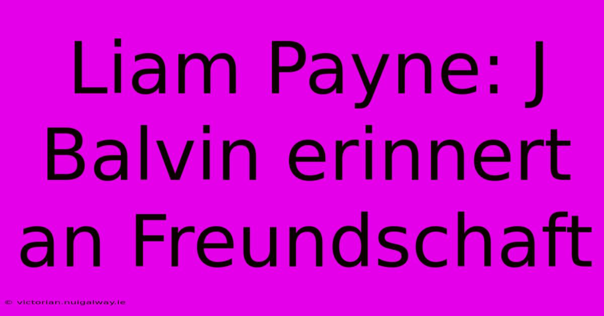 Liam Payne: J Balvin Erinnert An Freundschaft