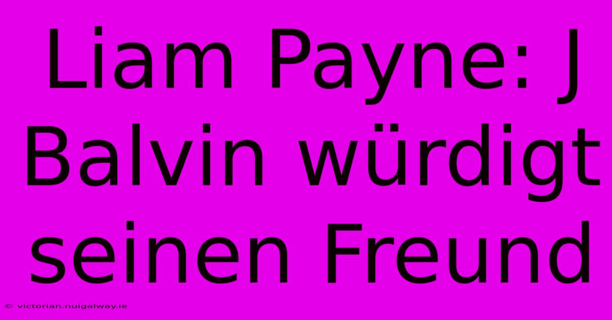 Liam Payne: J Balvin Würdigt Seinen Freund