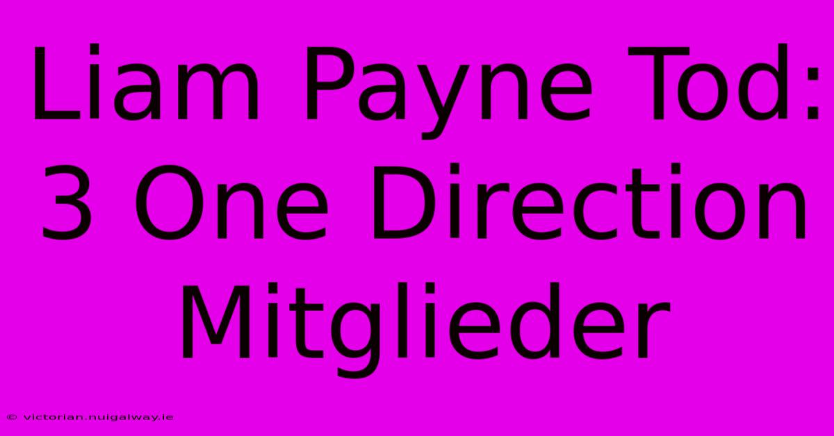 Liam Payne Tod: 3 One Direction Mitglieder