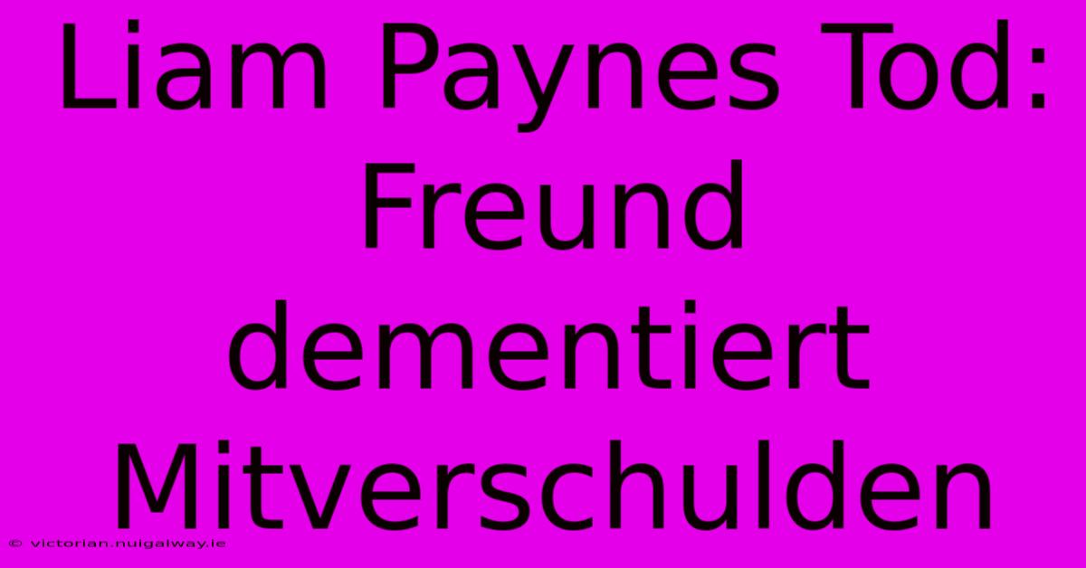 Liam Paynes Tod: Freund Dementiert Mitverschulden