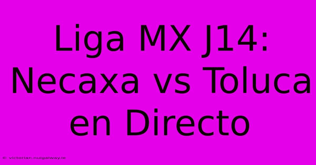 Liga MX J14: Necaxa Vs Toluca En Directo