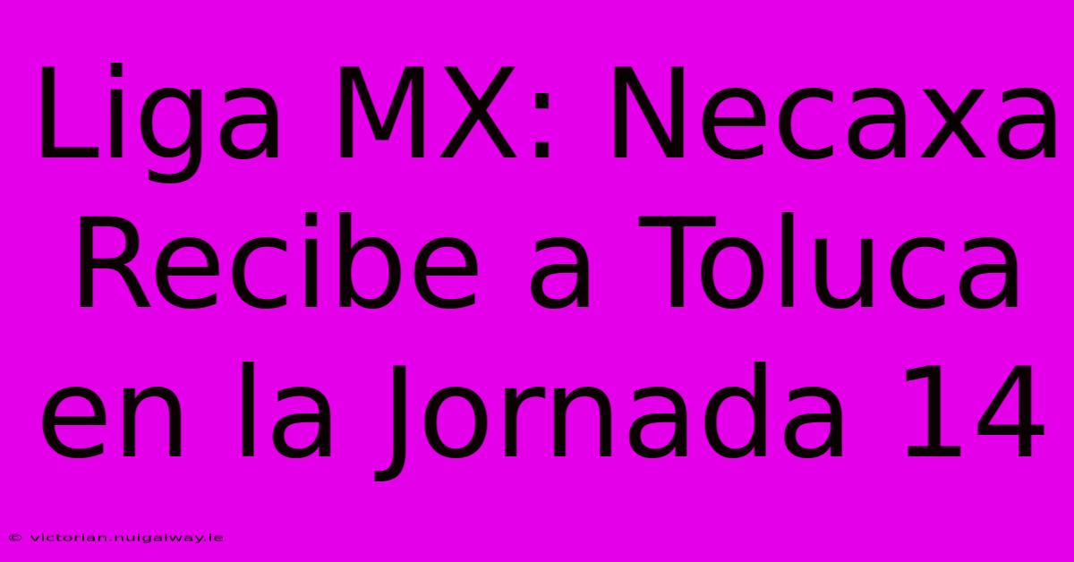 Liga MX: Necaxa Recibe A Toluca En La Jornada 14