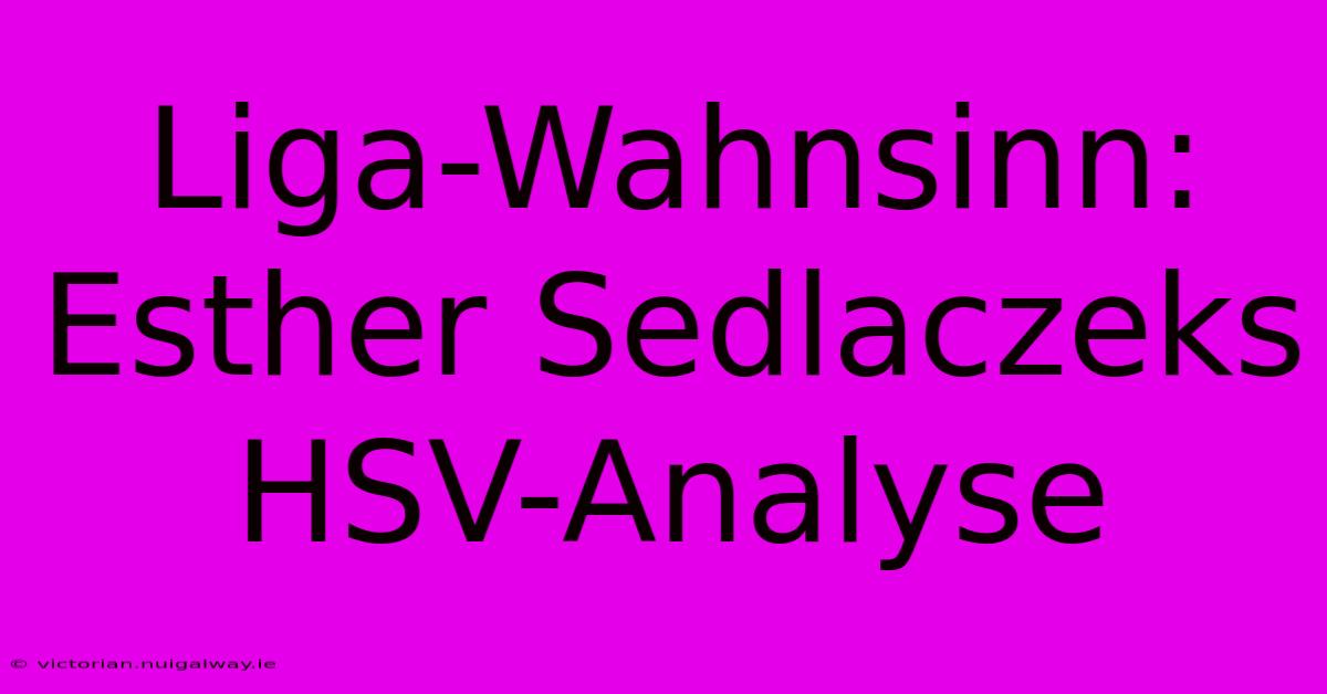 Liga-Wahnsinn: Esther Sedlaczeks HSV-Analyse