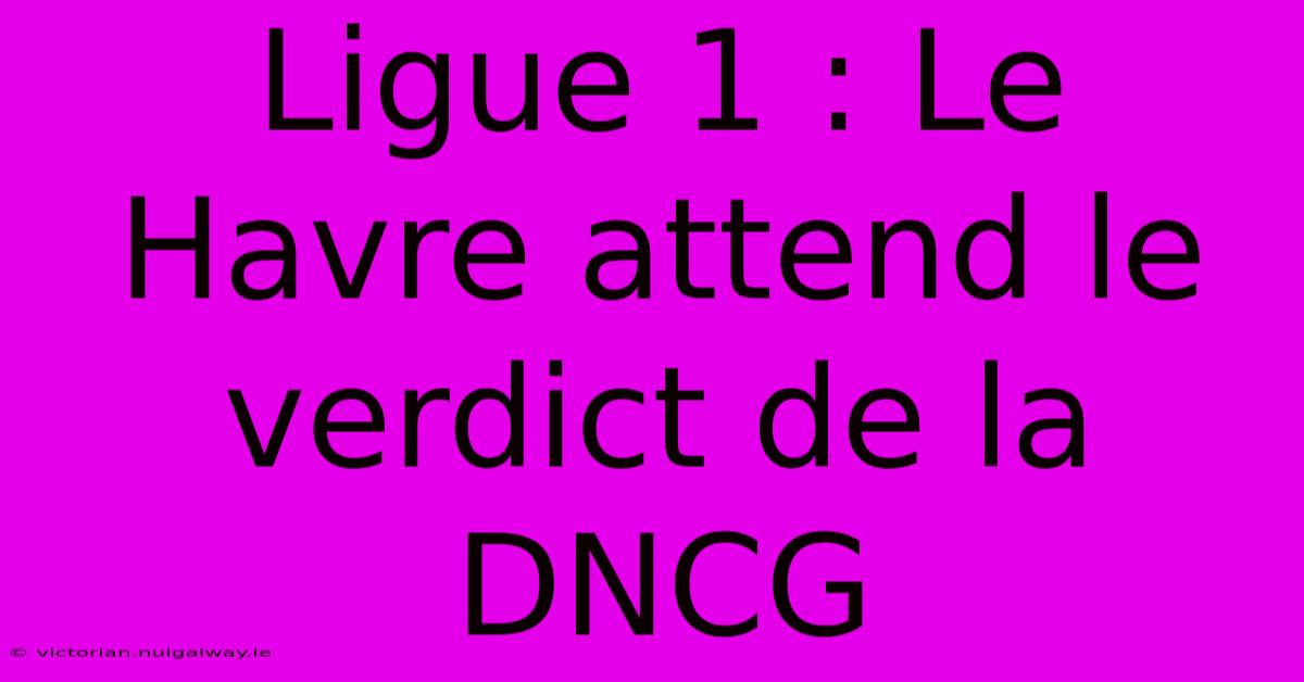 Ligue 1 : Le Havre Attend Le Verdict De La DNCG