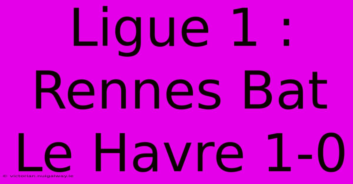 Ligue 1 : Rennes Bat Le Havre 1-0