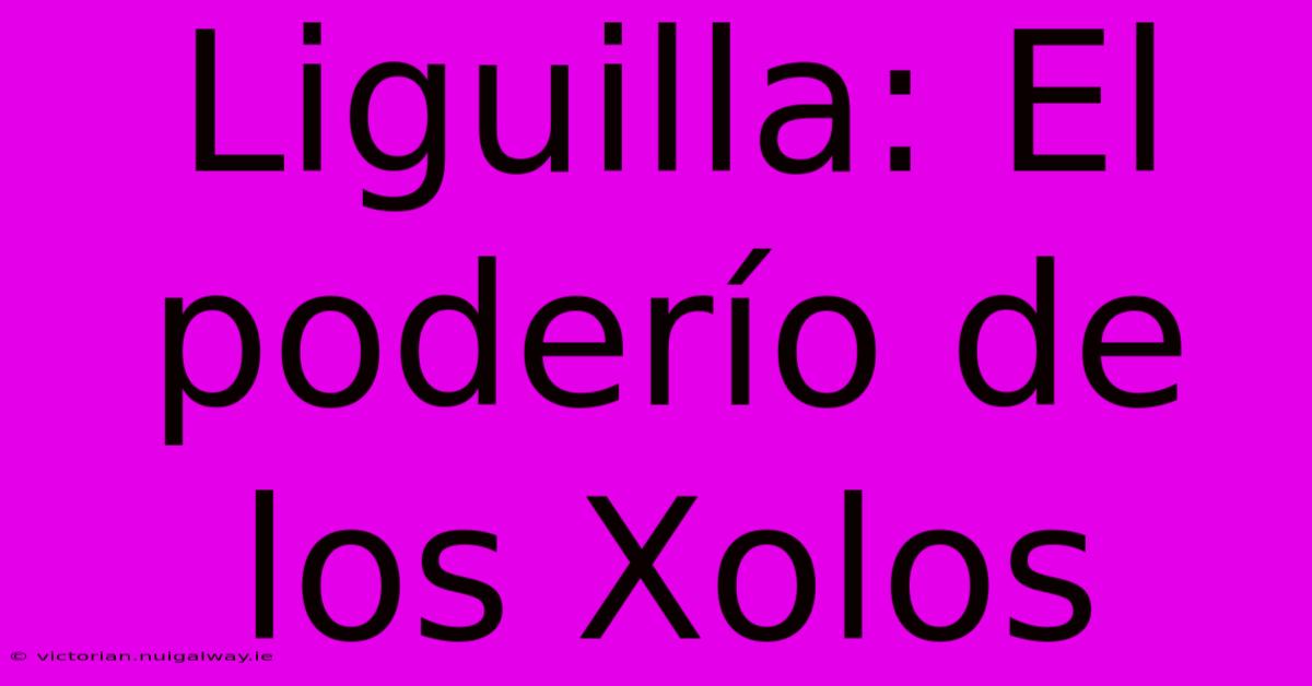 Liguilla: El Poderío De Los Xolos