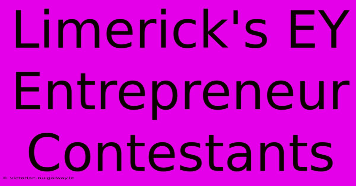 Limerick's EY Entrepreneur Contestants