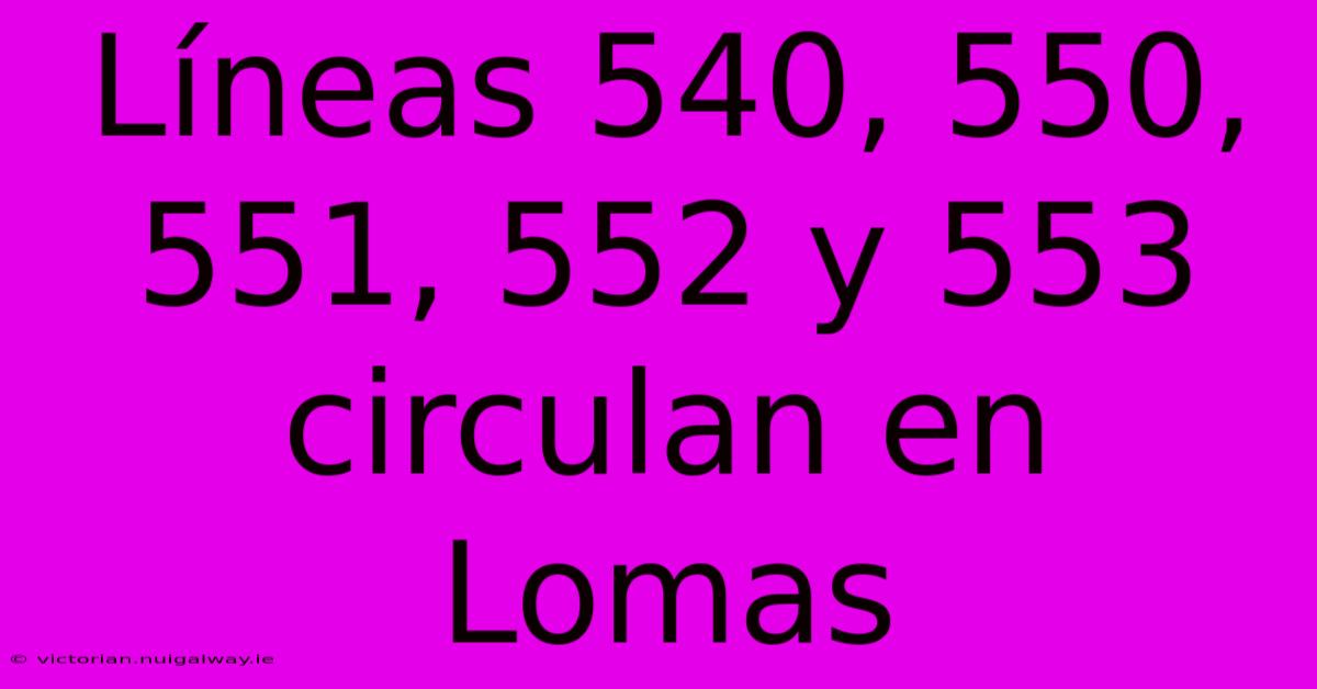 Líneas 540, 550, 551, 552 Y 553 Circulan En Lomas