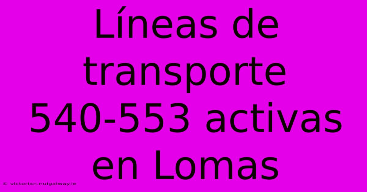 Líneas De Transporte 540-553 Activas En Lomas 