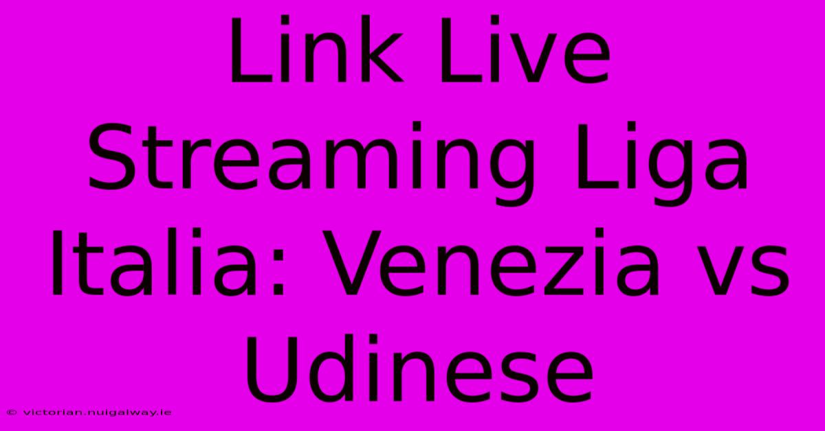 Link Live Streaming Liga Italia: Venezia Vs Udinese