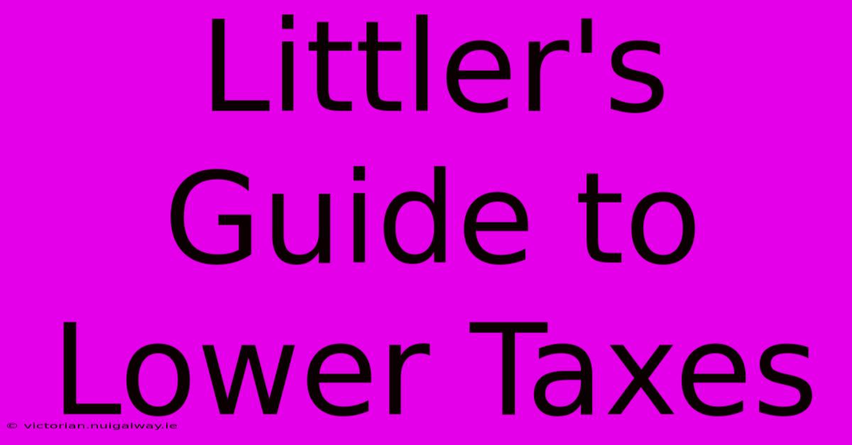 Littler's Guide To Lower Taxes